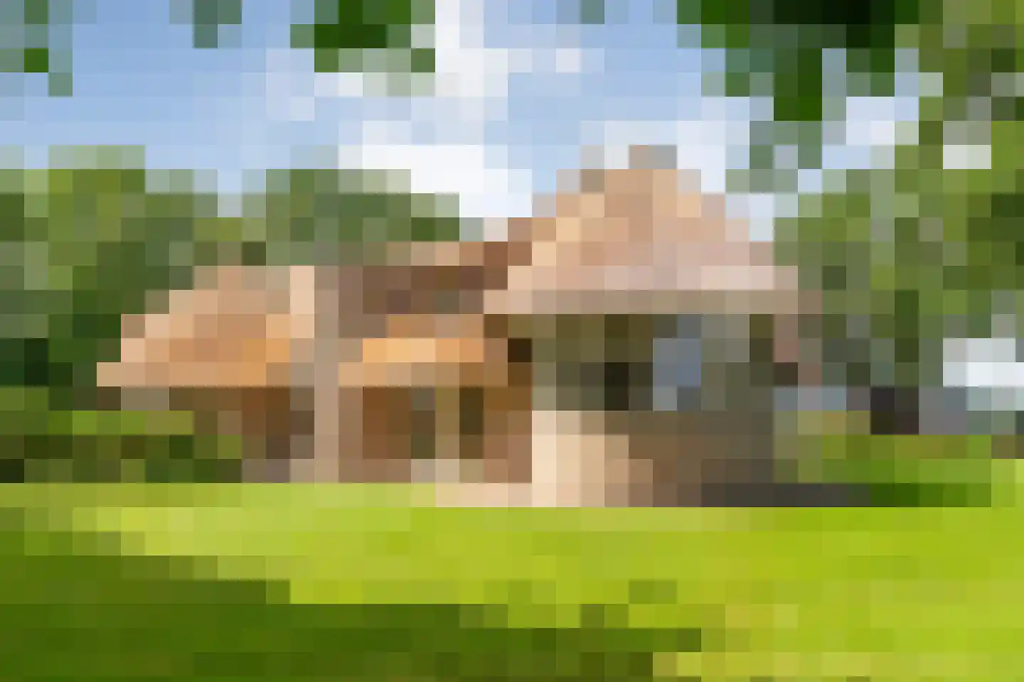 Dijklaan 4 Oldemarkt thumbnail 58