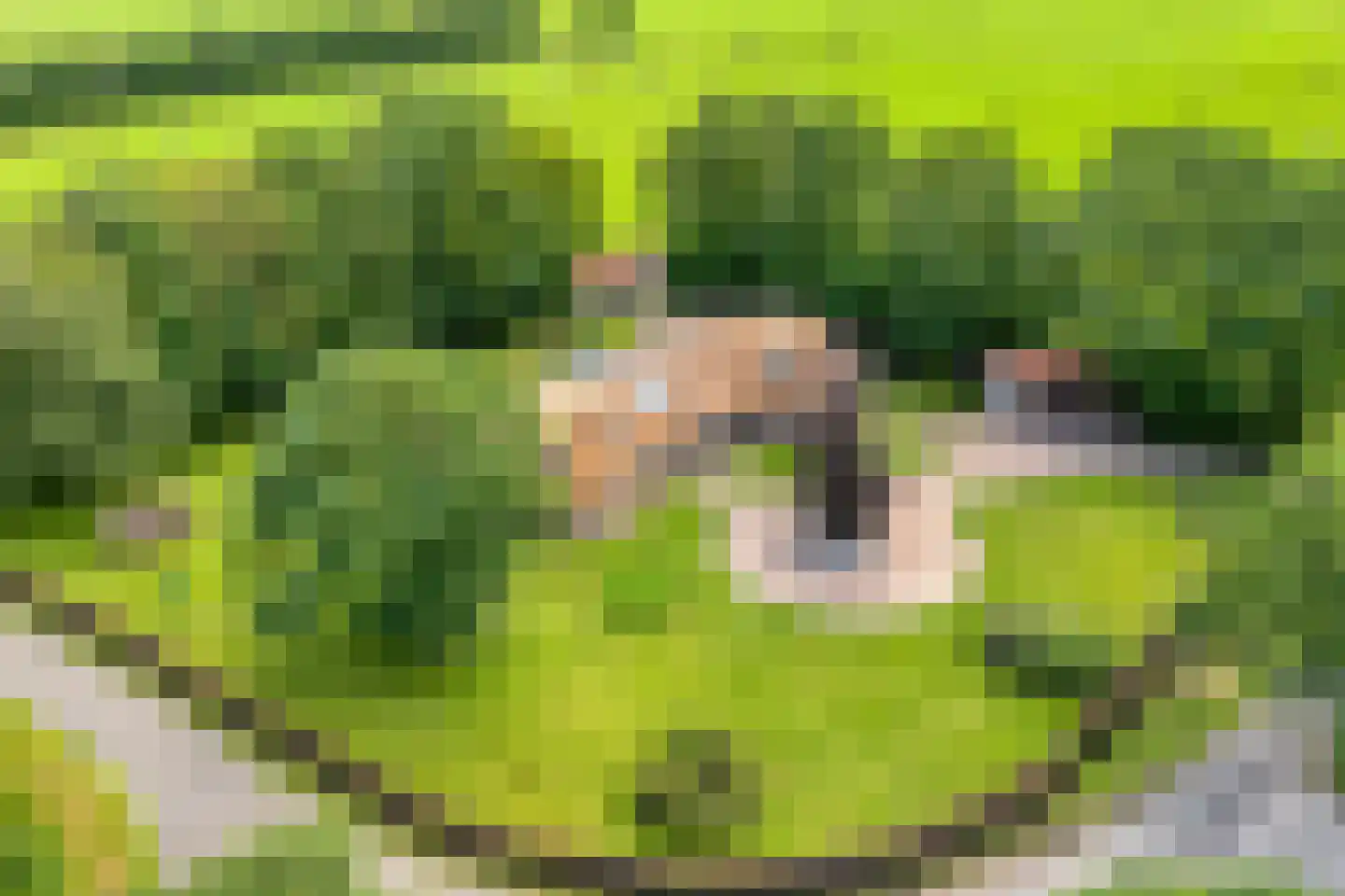 Dijklaan 4 Oldemarkt thumbnail 6