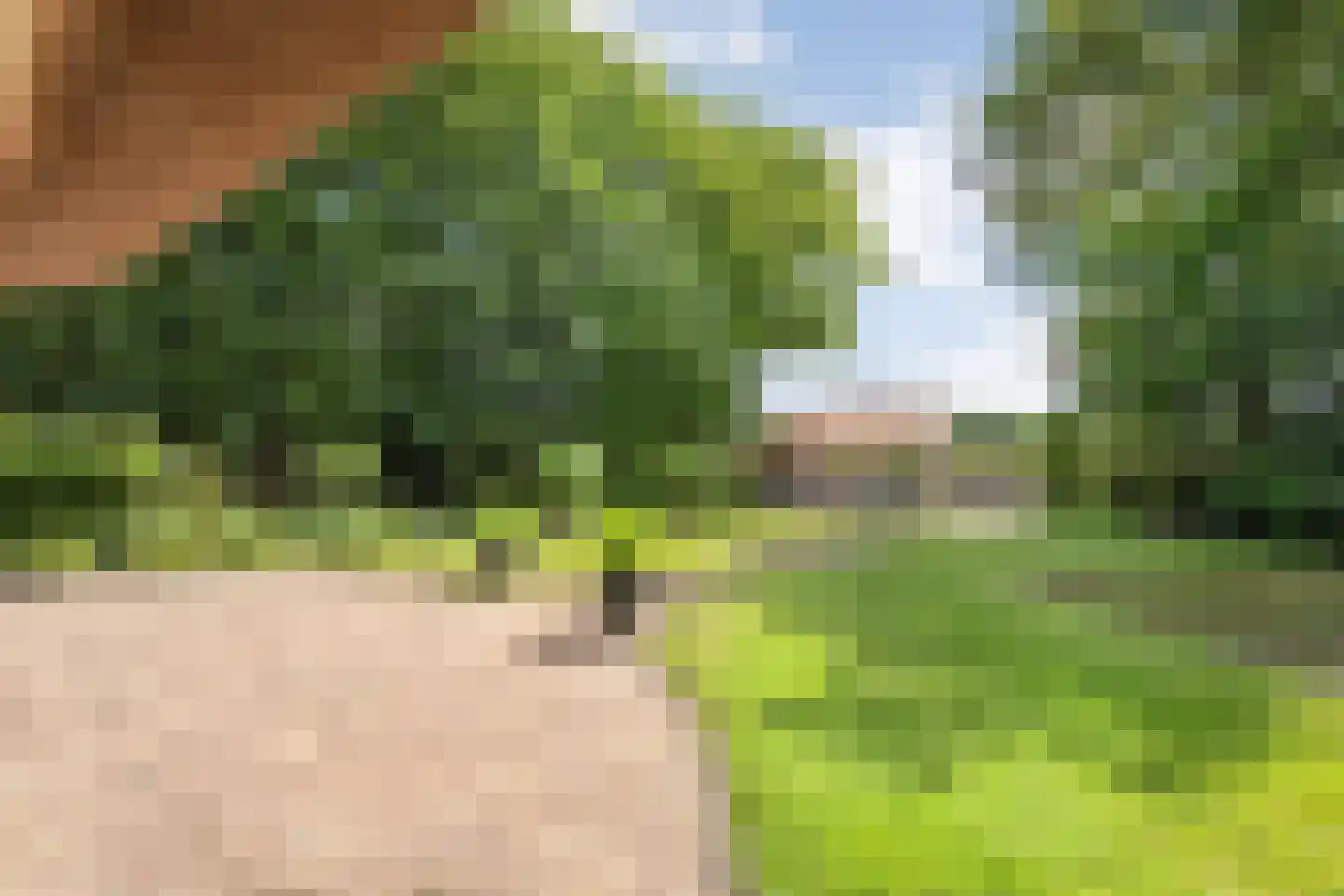 Dijklaan 4 Oldemarkt thumbnail 61