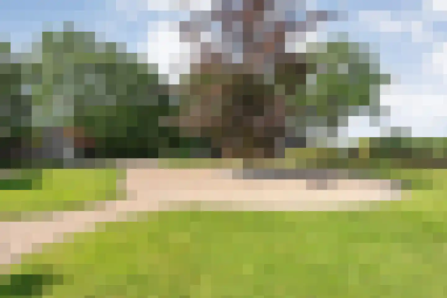 Dijklaan 4 Oldemarkt thumbnail 62