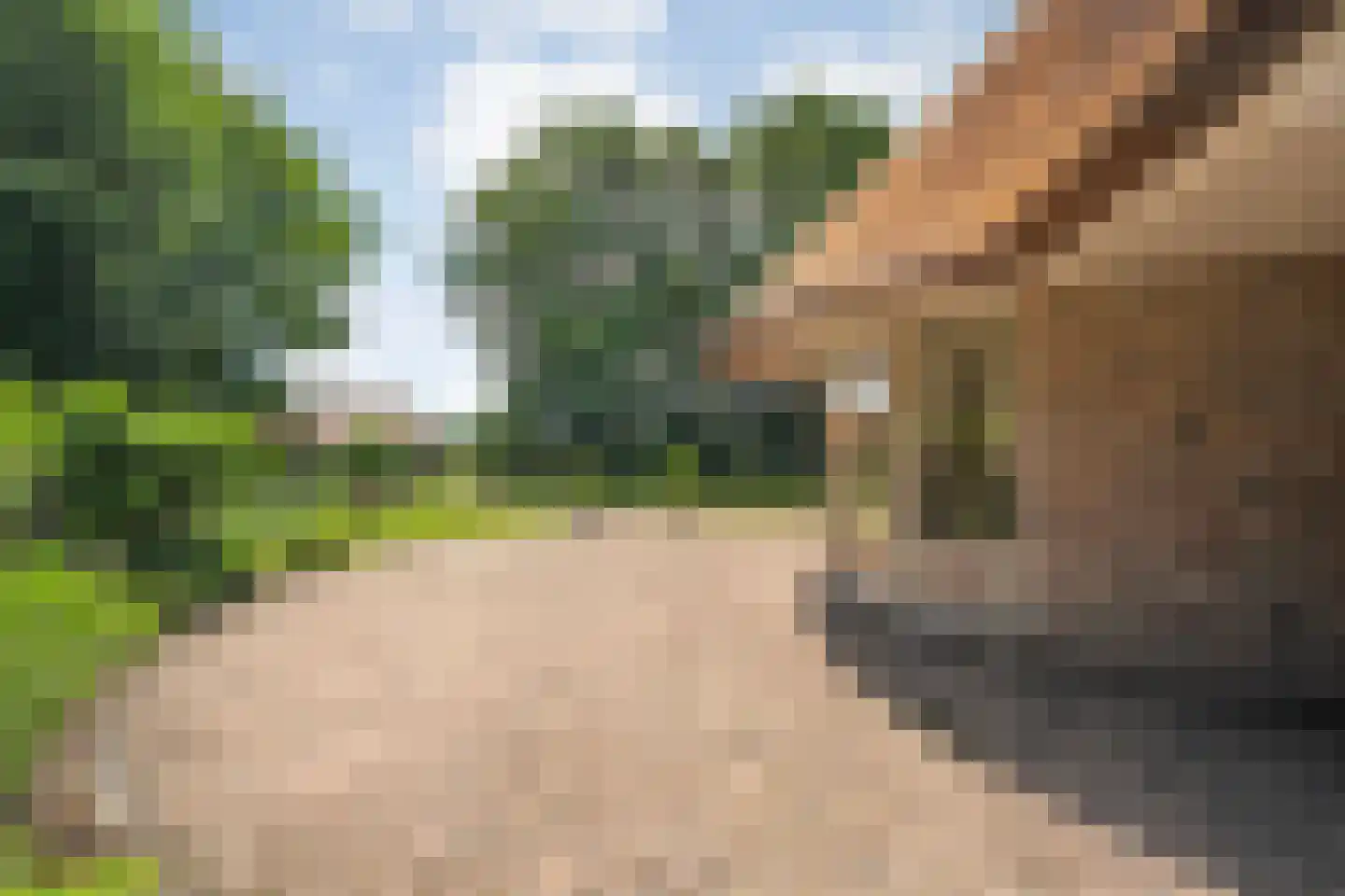 Dijklaan 4 Oldemarkt thumbnail 64