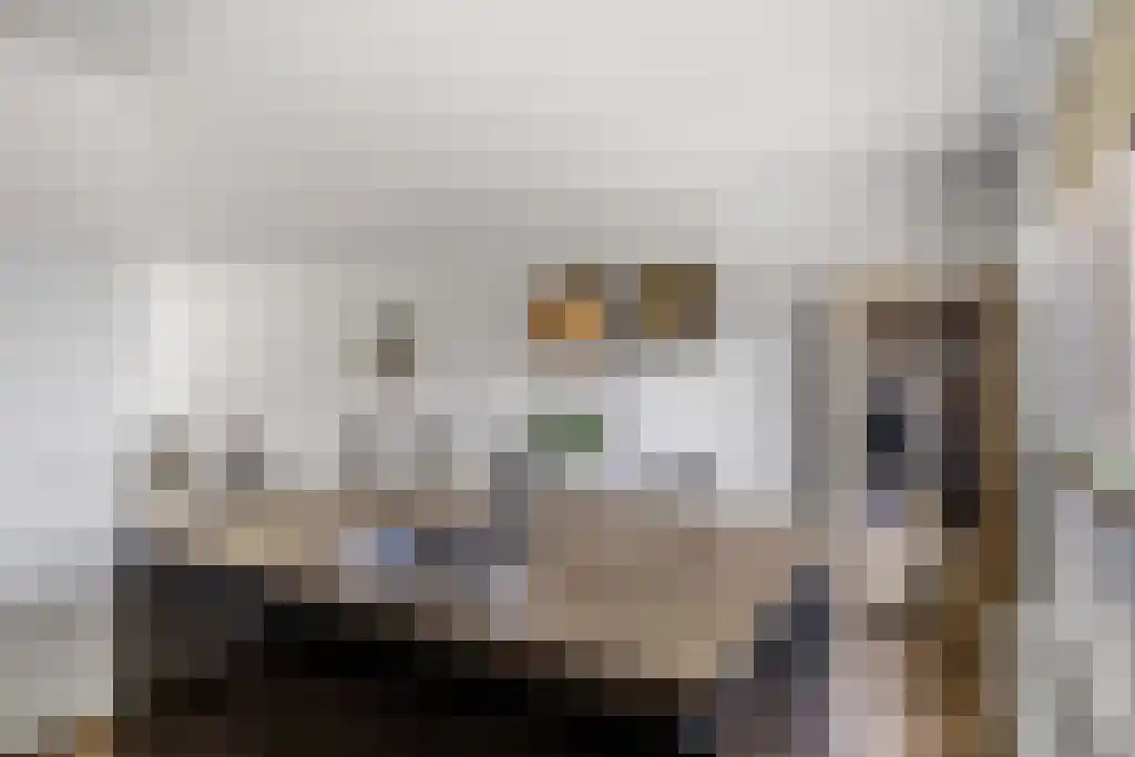 Dijklaan 41 Leek thumbnail 13