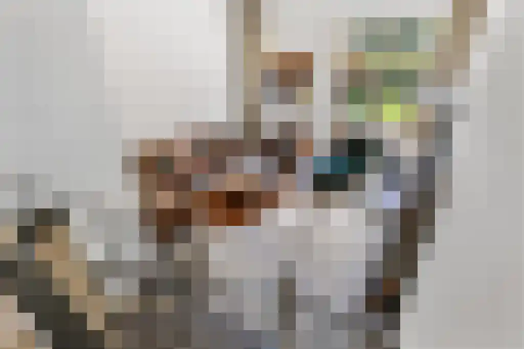 Dijklaan 41 Leek thumbnail 16