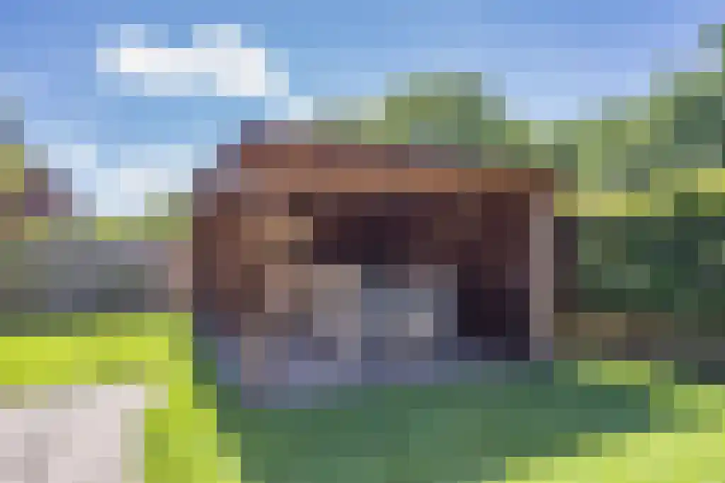 Dijklaan 41 Leek thumbnail 30