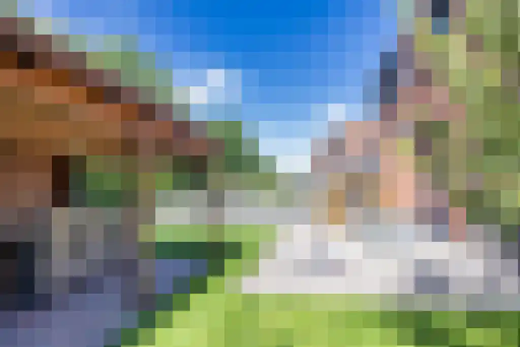 Dijklaan 41 Leek thumbnail 31