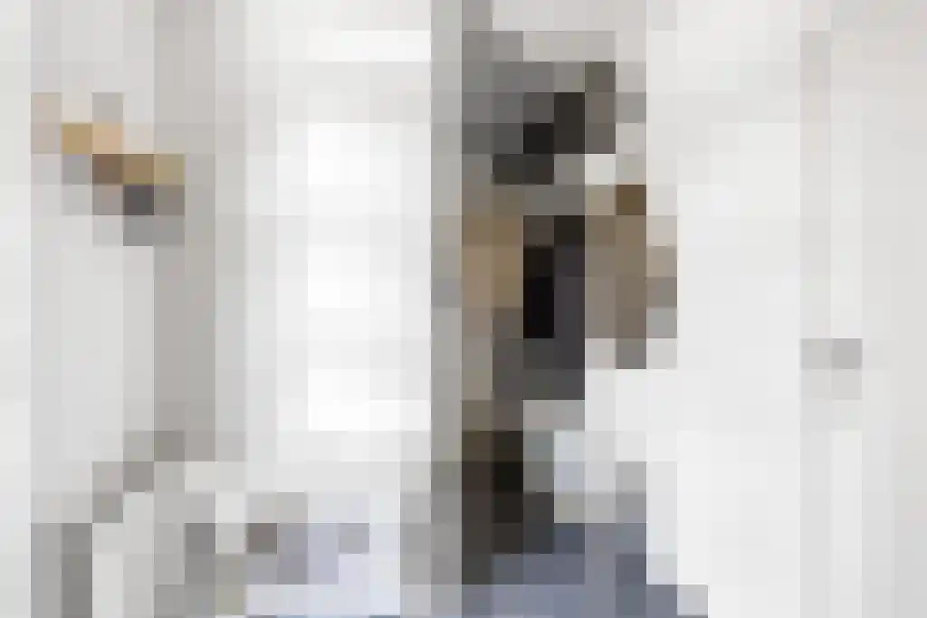 Dijklaan 41 Leek thumbnail 4