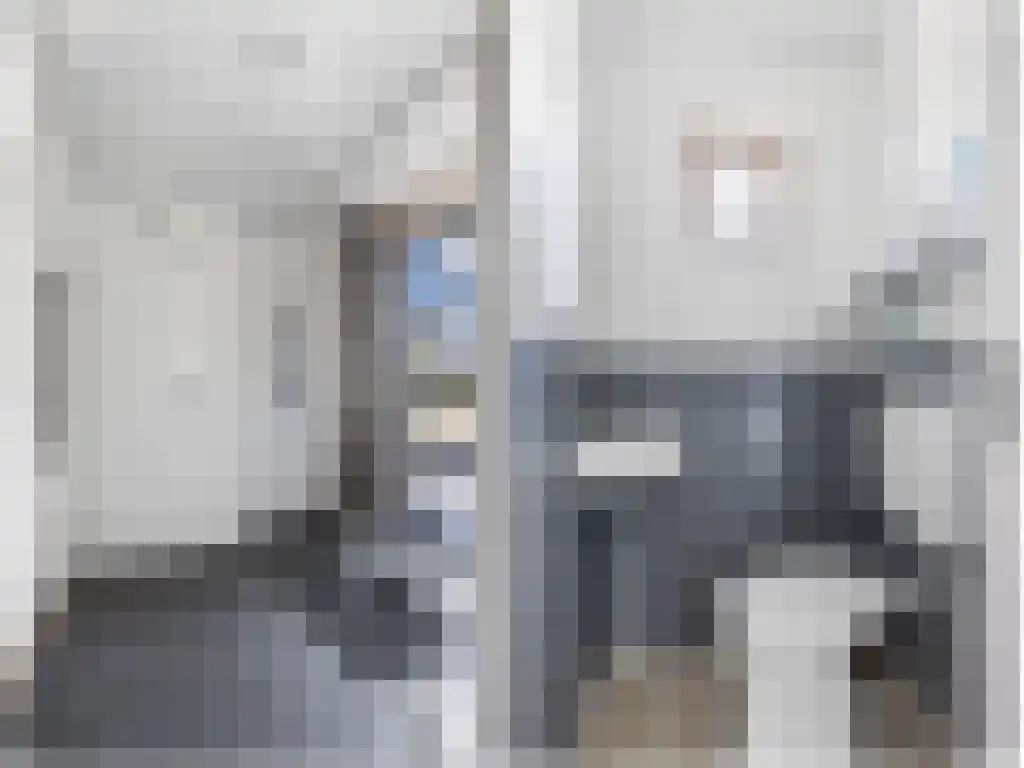 Dijklaan 41 Leek thumbnail 5