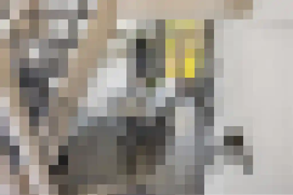 Dijklaan 41 Leek thumbnail 6
