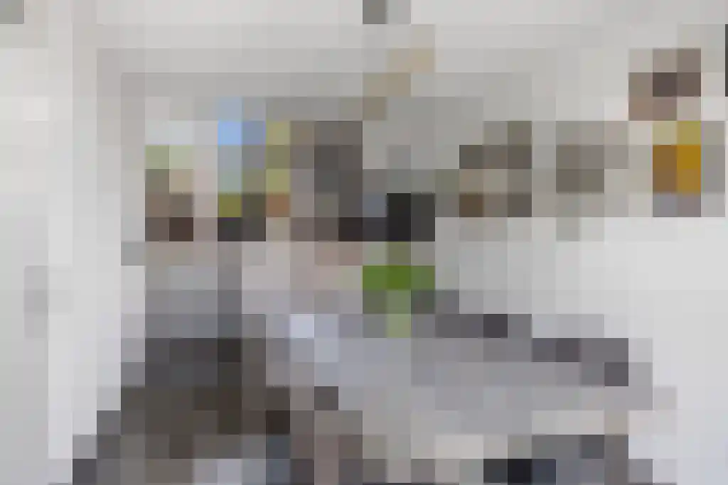 Dijklaan 41 Leek thumbnail 7