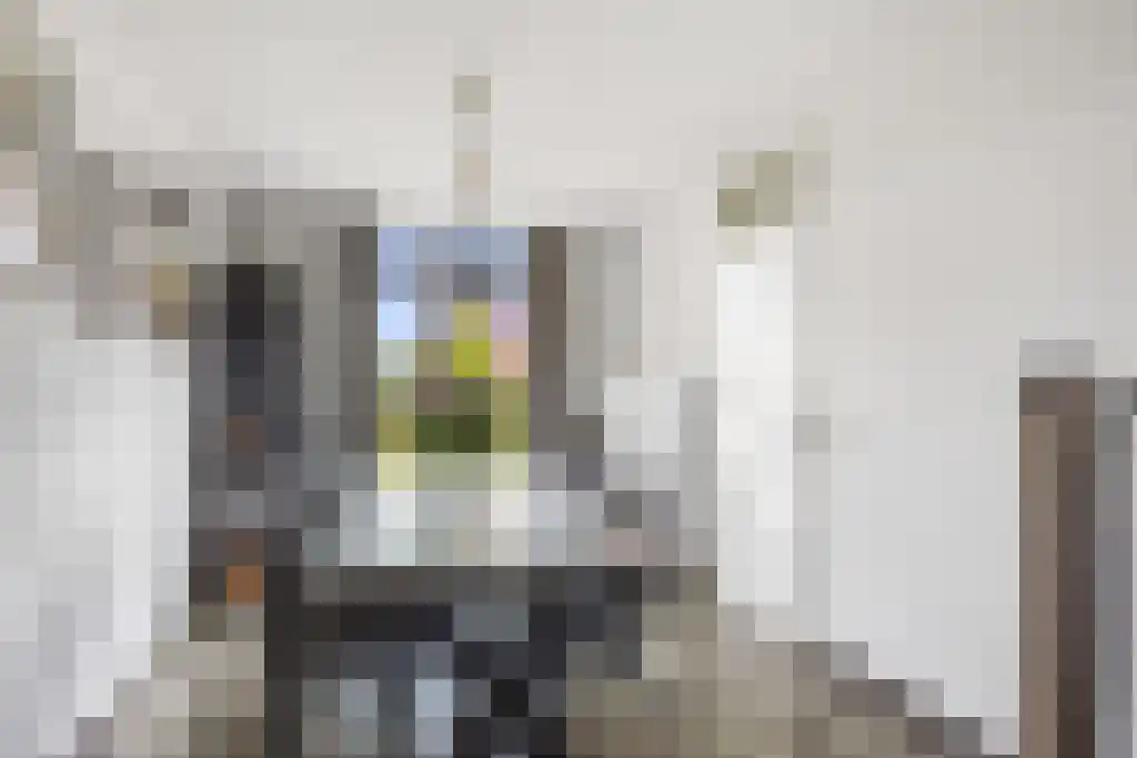 Dijklaan 41 Leek thumbnail 8