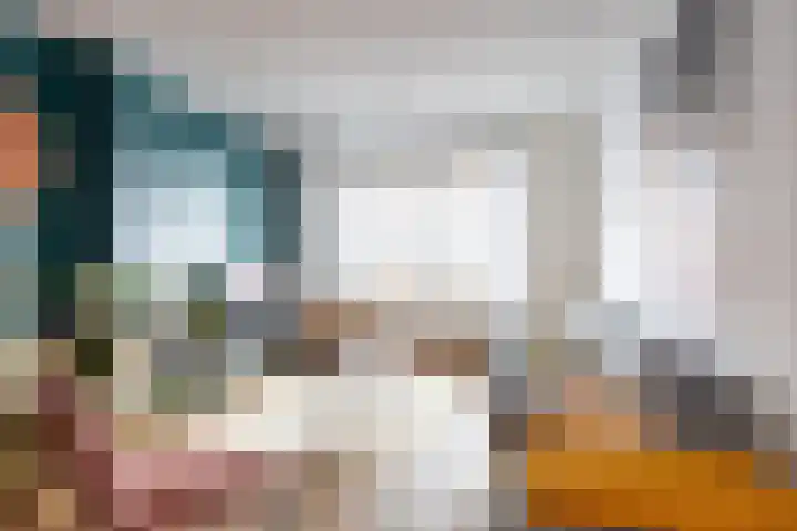 Dijklaan 47 Breda thumbnail 13