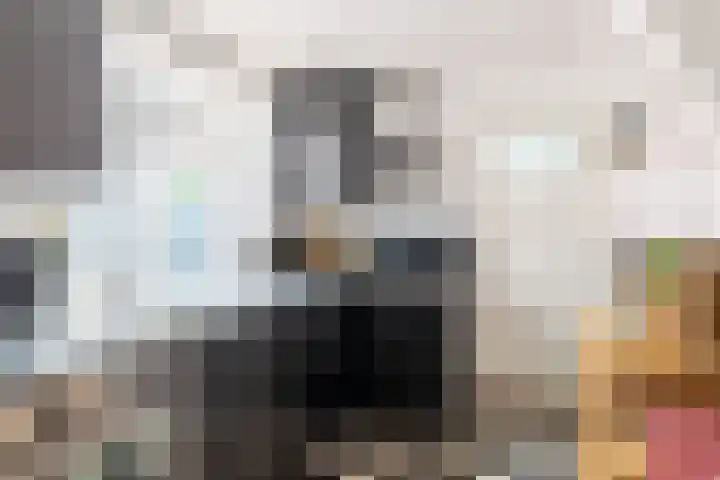 Dijklaan 47 Breda thumbnail 16