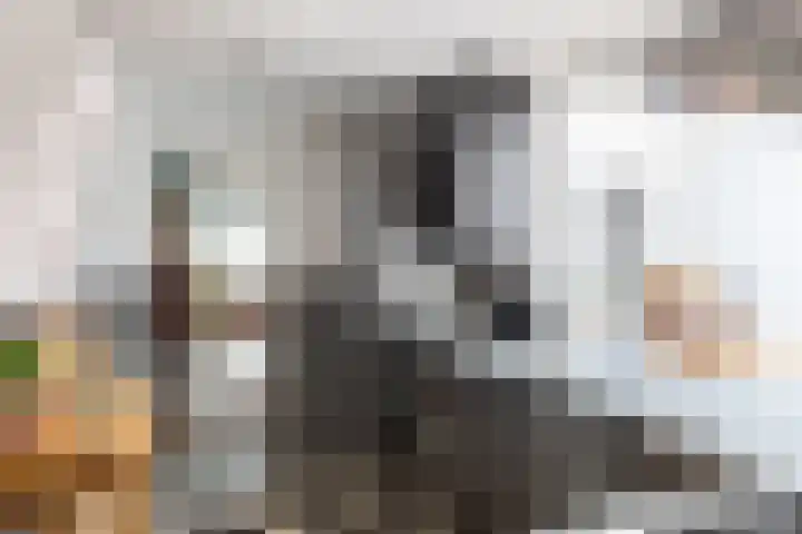 Dijklaan 47 Breda thumbnail 19