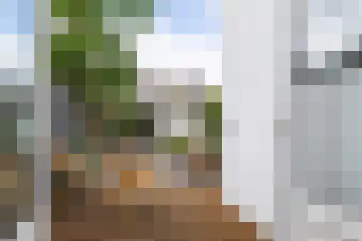 Dijklaan 47 Breda thumbnail 29
