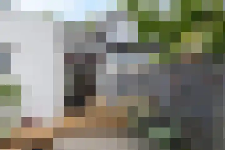 Dijklaan 47 Breda thumbnail 31
