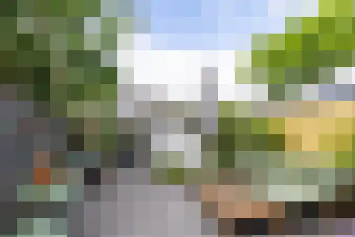 Dijklaan 47 Breda thumbnail 33