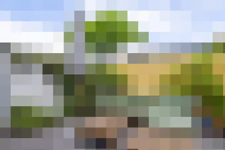 Dijklaan 47 Breda thumbnail 34