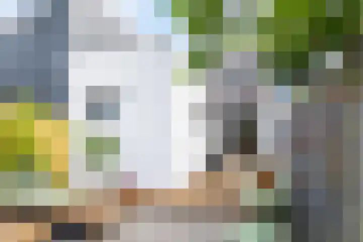 Dijklaan 47 Breda thumbnail 38