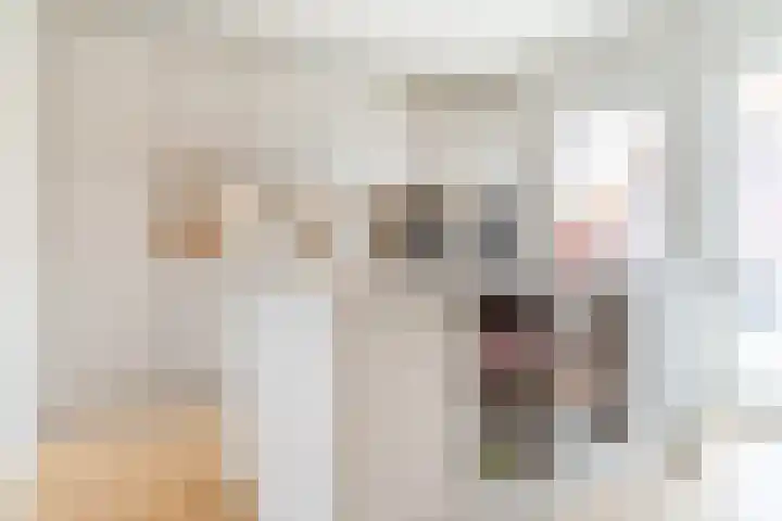 Dijklaan 67 Breda thumbnail 11