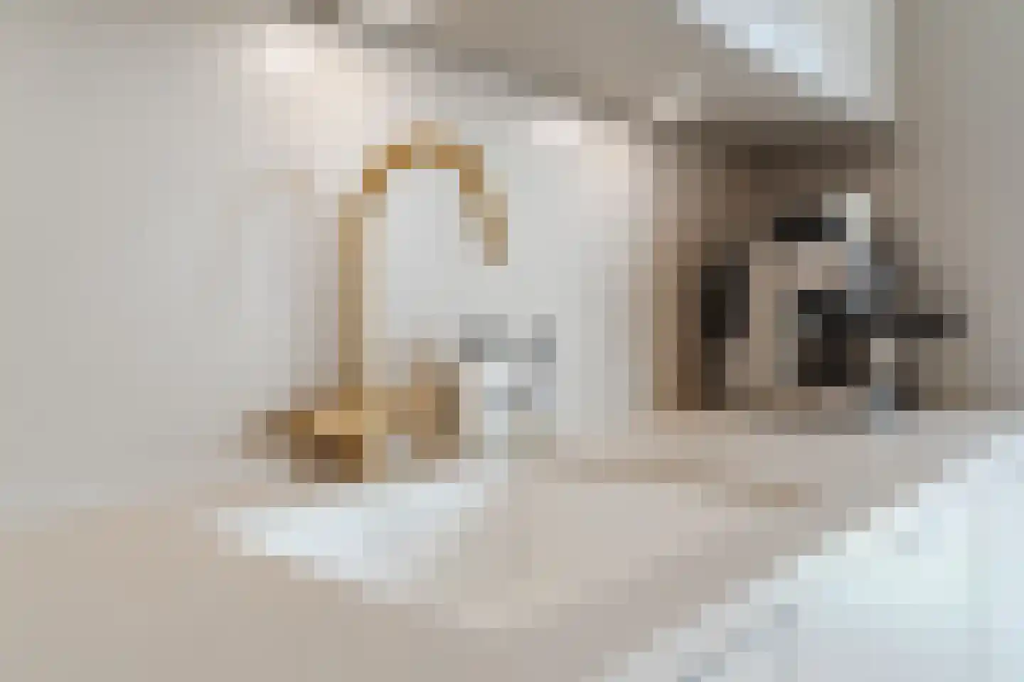 Dijklaan 67 Breda thumbnail 12
