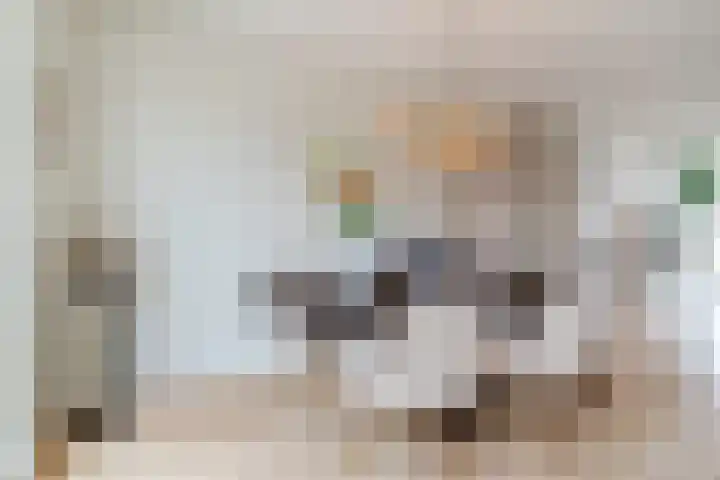 Dijklaan 67 Breda thumbnail 14