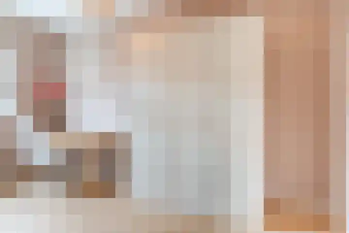 Dijklaan 67 Breda thumbnail 26