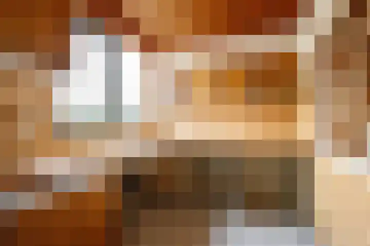 Dijklaan 70 Bergambacht thumbnail 12
