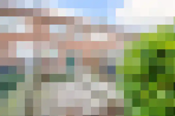 Dijklaan 70 Bergambacht thumbnail 25