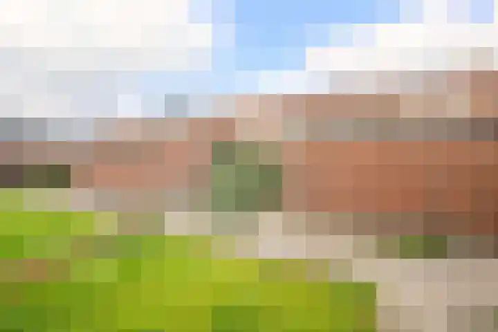 Dijklaan 70 Bergambacht thumbnail 29