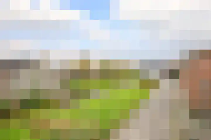 Dijklaan 70 Bergambacht thumbnail 30