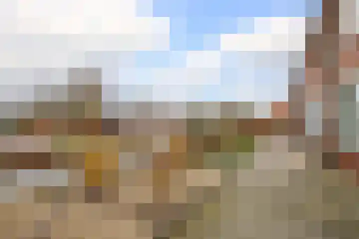 Dijklaan 70 Bergambacht thumbnail 34