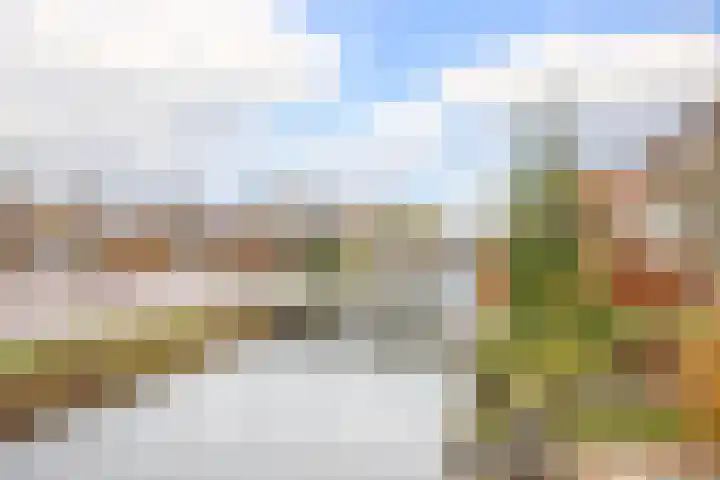 Dijklaan 70 Bergambacht thumbnail 36