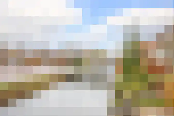 Dijklaan 70 Bergambacht thumbnail 4
