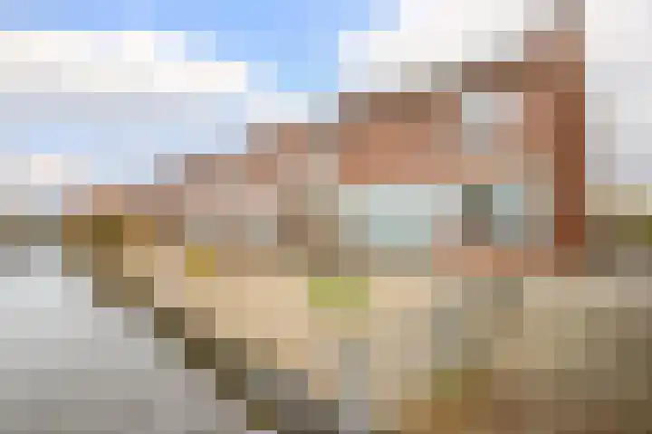 Dijklaan 70 Bergambacht thumbnail 6