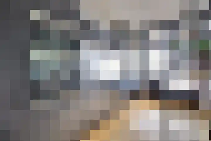 Dijklaan 81 Vlaardingen thumbnail 12