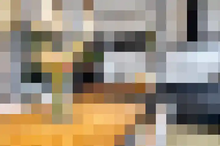 Dijklaan 81 Vlaardingen thumbnail 15