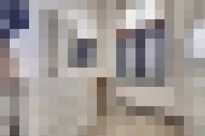 Dijklaan 81 Vlaardingen thumbnail 19
