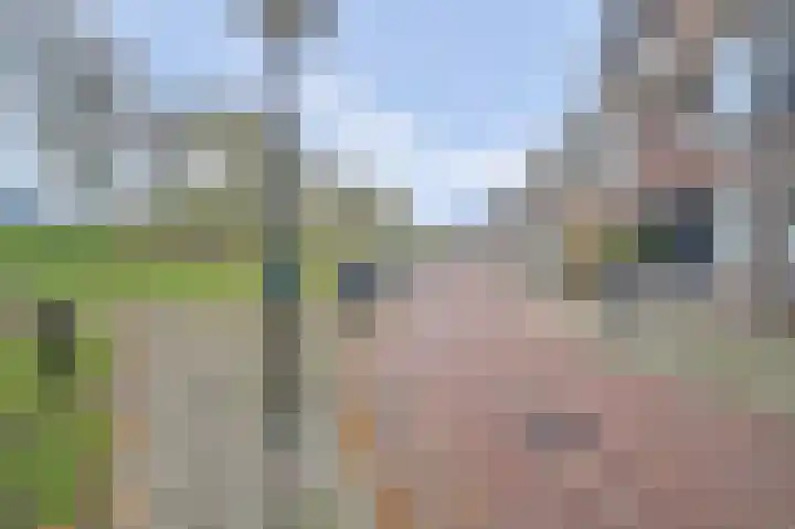Dijklaan 81 Vlaardingen thumbnail 31