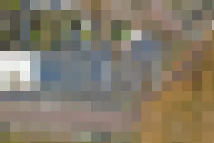 Dijklaan 81 Vlaardingen thumbnail 33