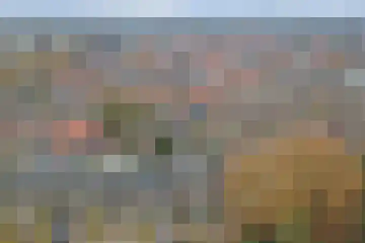 Dijklaan 81 Vlaardingen thumbnail 34