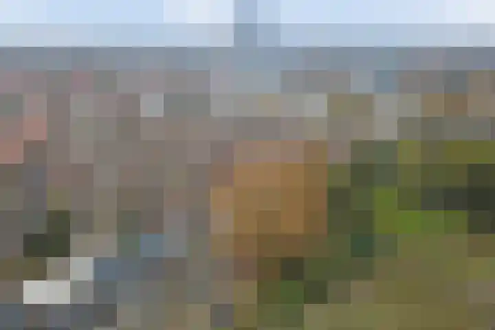 Dijklaan 81 Vlaardingen thumbnail 35