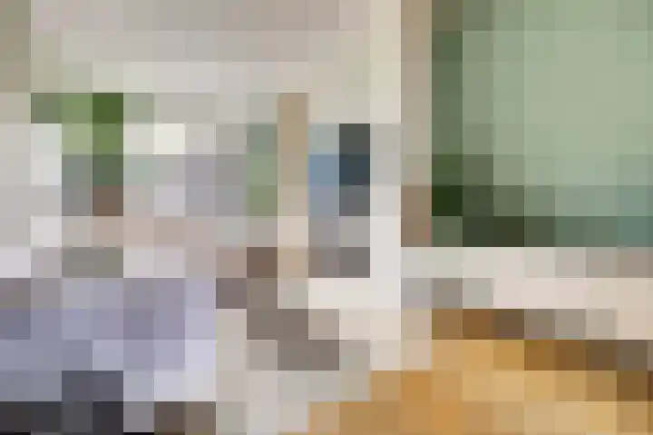 Dijklaan 81 Vlaardingen thumbnail 4
