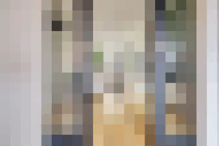 Dijklaan 81 Vlaardingen thumbnail 5