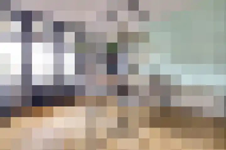 Dijklaan 81 Vlaardingen thumbnail 7