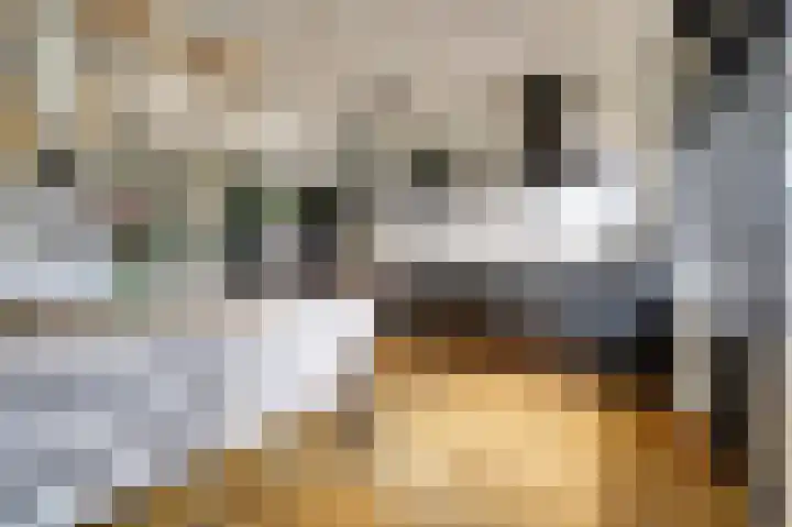 Dijklaan 81 Vlaardingen thumbnail 9
