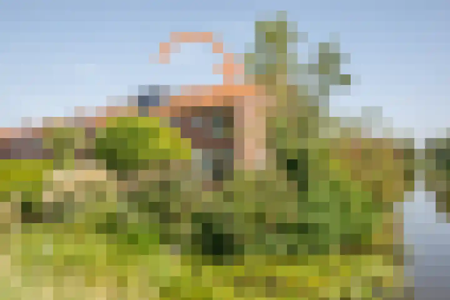 Dijklaan 82 in Bergambacht