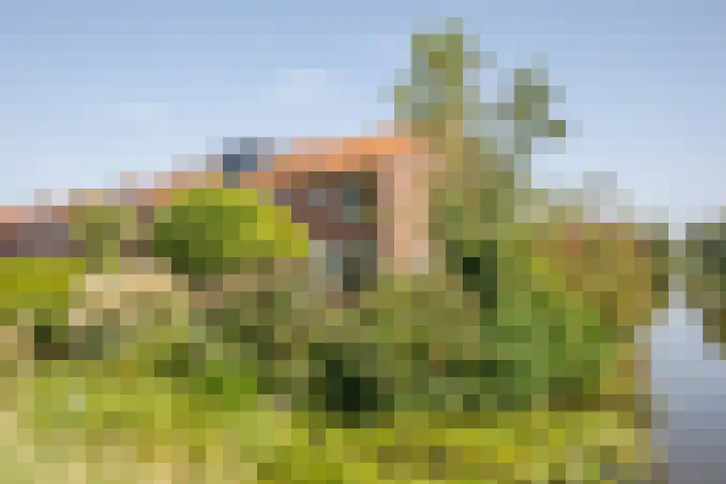Dijklaan 82 Bergambacht thumbnail 24