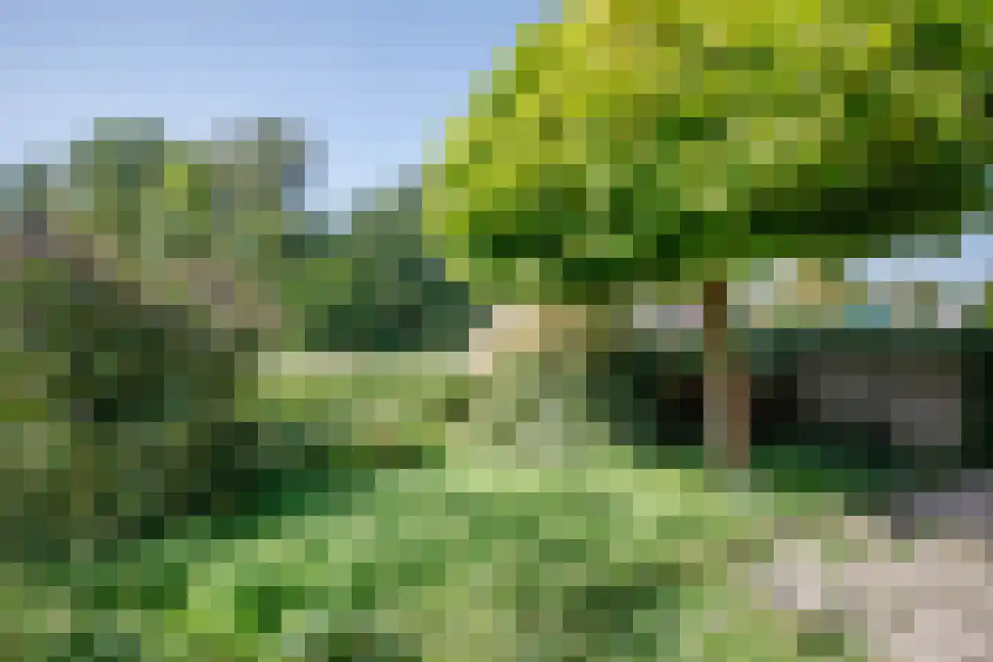 Dijklaan 82 Bergambacht thumbnail 32