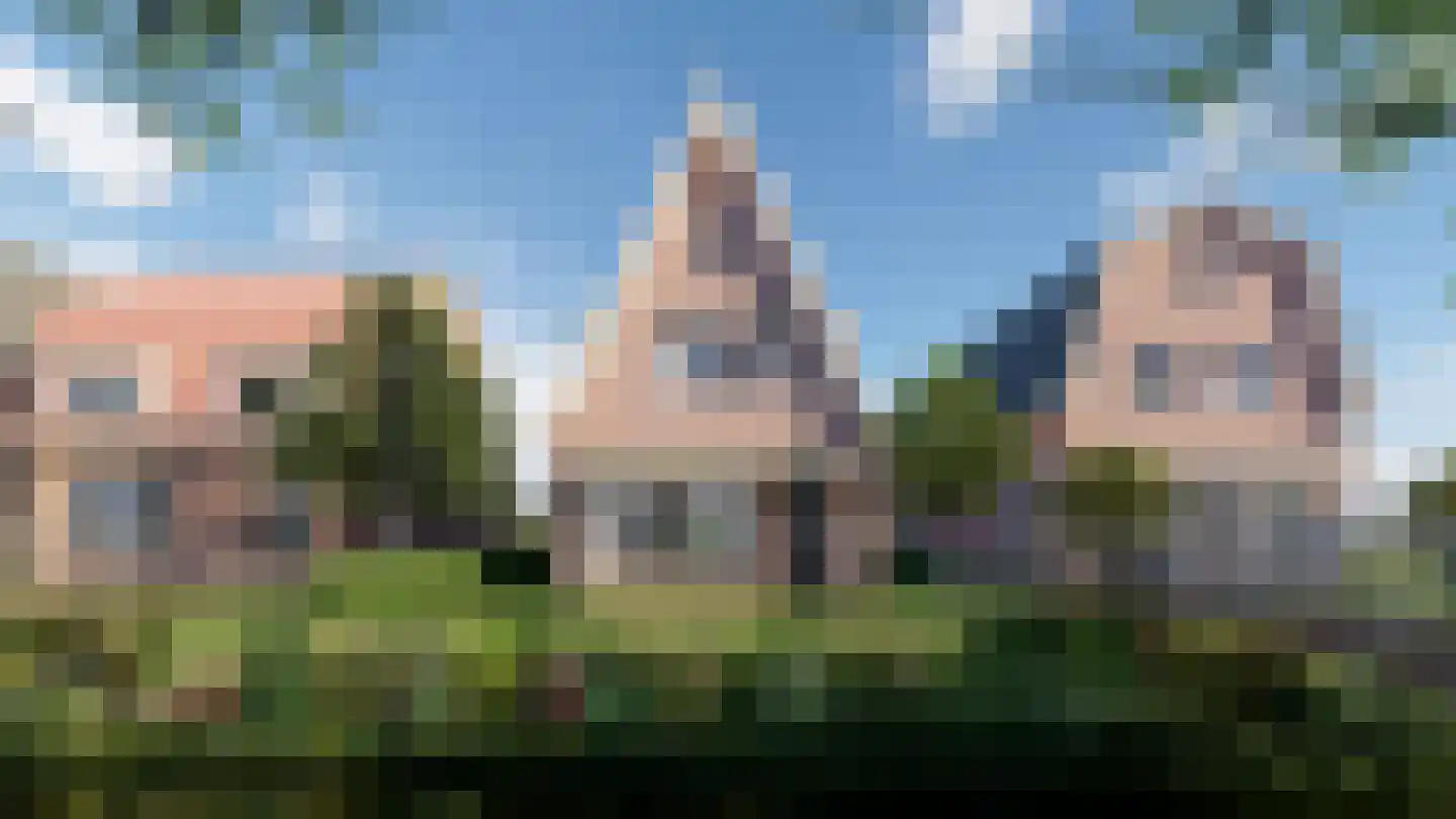 Dijklaan Bergambacht thumbnail 4