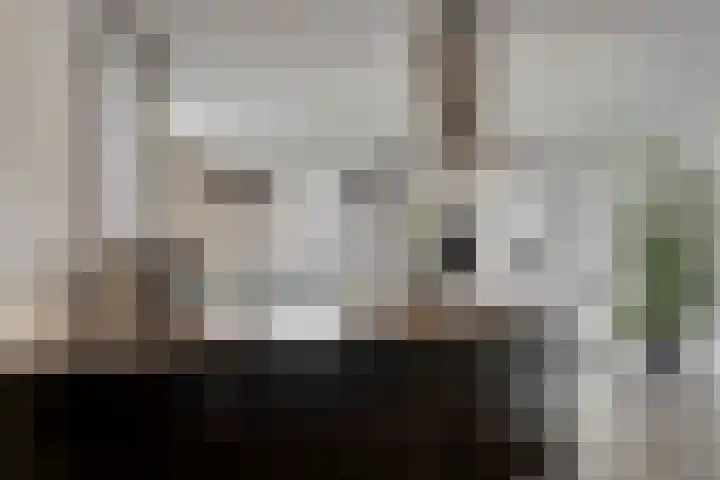 Dijkmanschans 138 Zoetermeer thumbnail 10